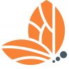 logo-batterfly-grigio-arancio